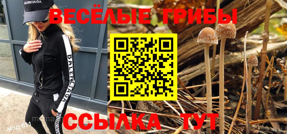 Галлюциногенные грибы мицелий Черкесск